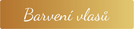 Barven&iacute; vlasů