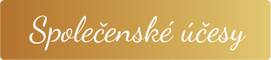Společensk&eacute; &uacute;česy