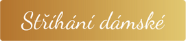 Stř&iacute;h&aacute;n&iacute; d&aacute;msk&eacute;